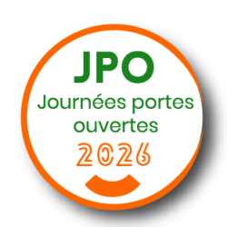 icone site JPO_Plan de travail 1